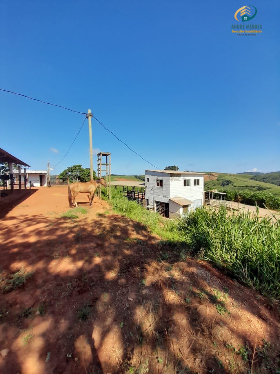 Fazenda à venda, 1500000m² - Foto 14