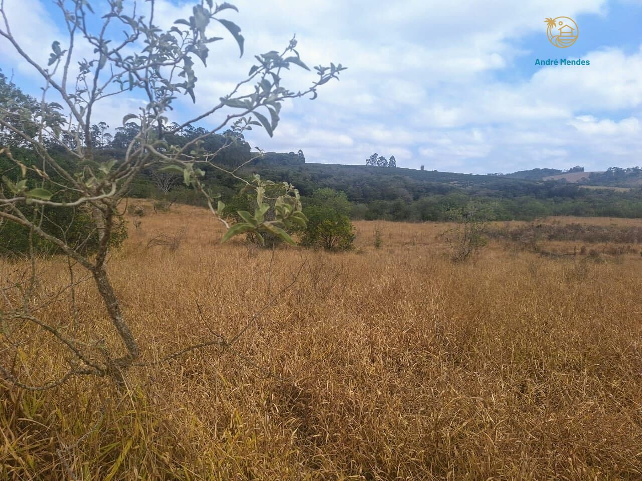 Fazenda, 55 hectares - Foto 9