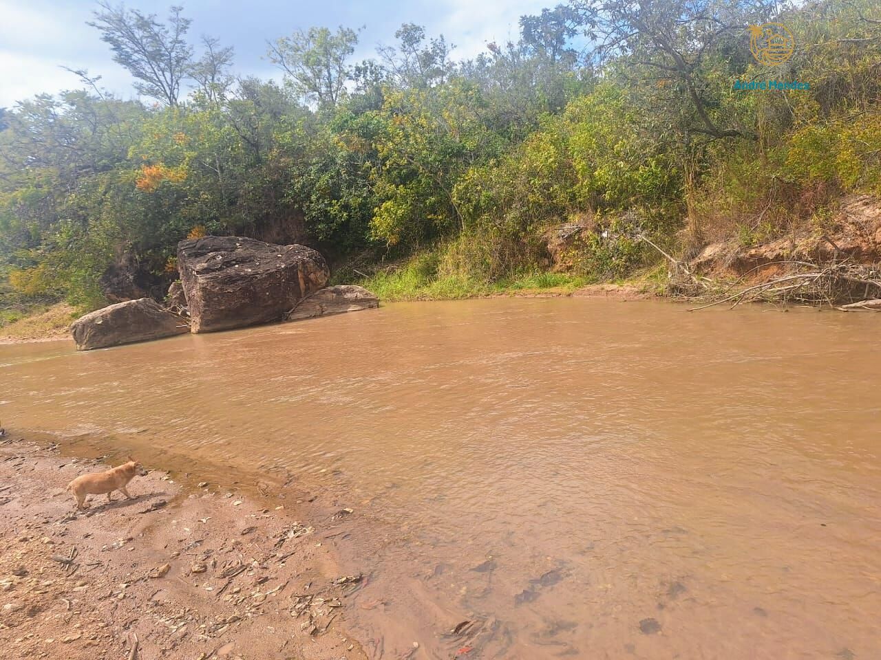 Fazenda, 55 hectares - Foto 8