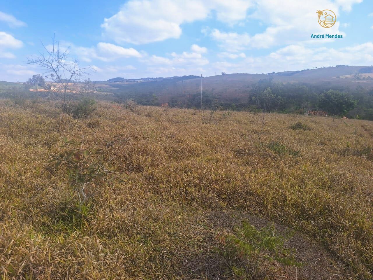 Fazenda, 55 hectares - Foto 10