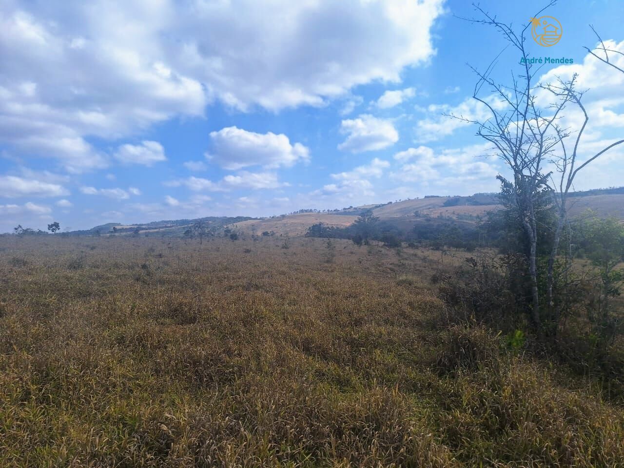 Fazenda, 55 hectares - Foto 6