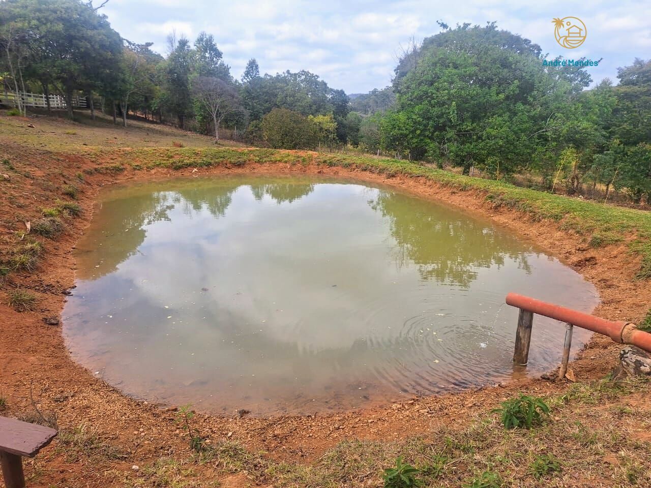 Fazenda, 55 hectares - Foto 1