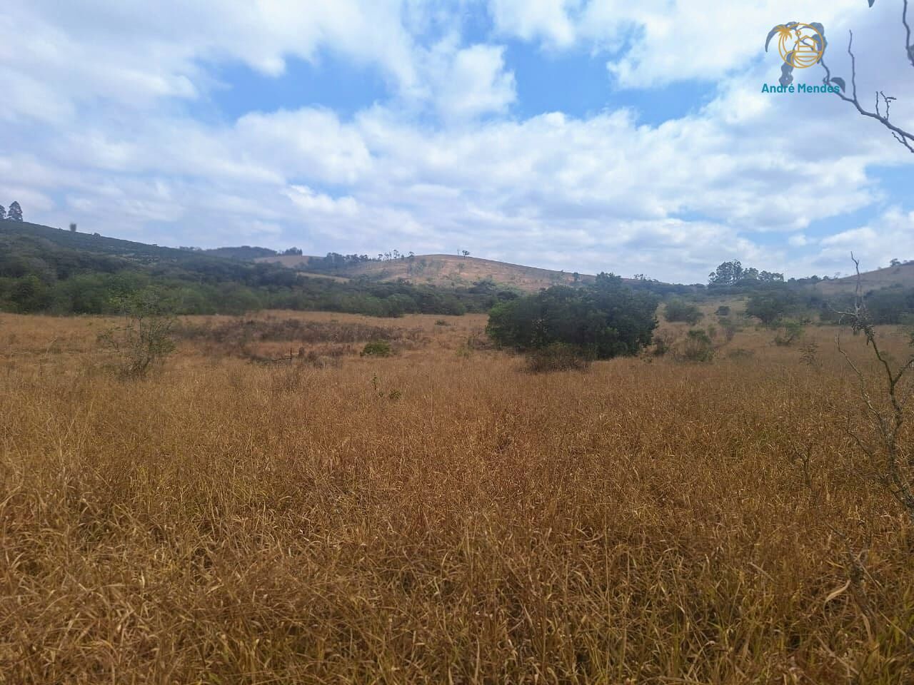 Fazenda, 55 hectares - Foto 5