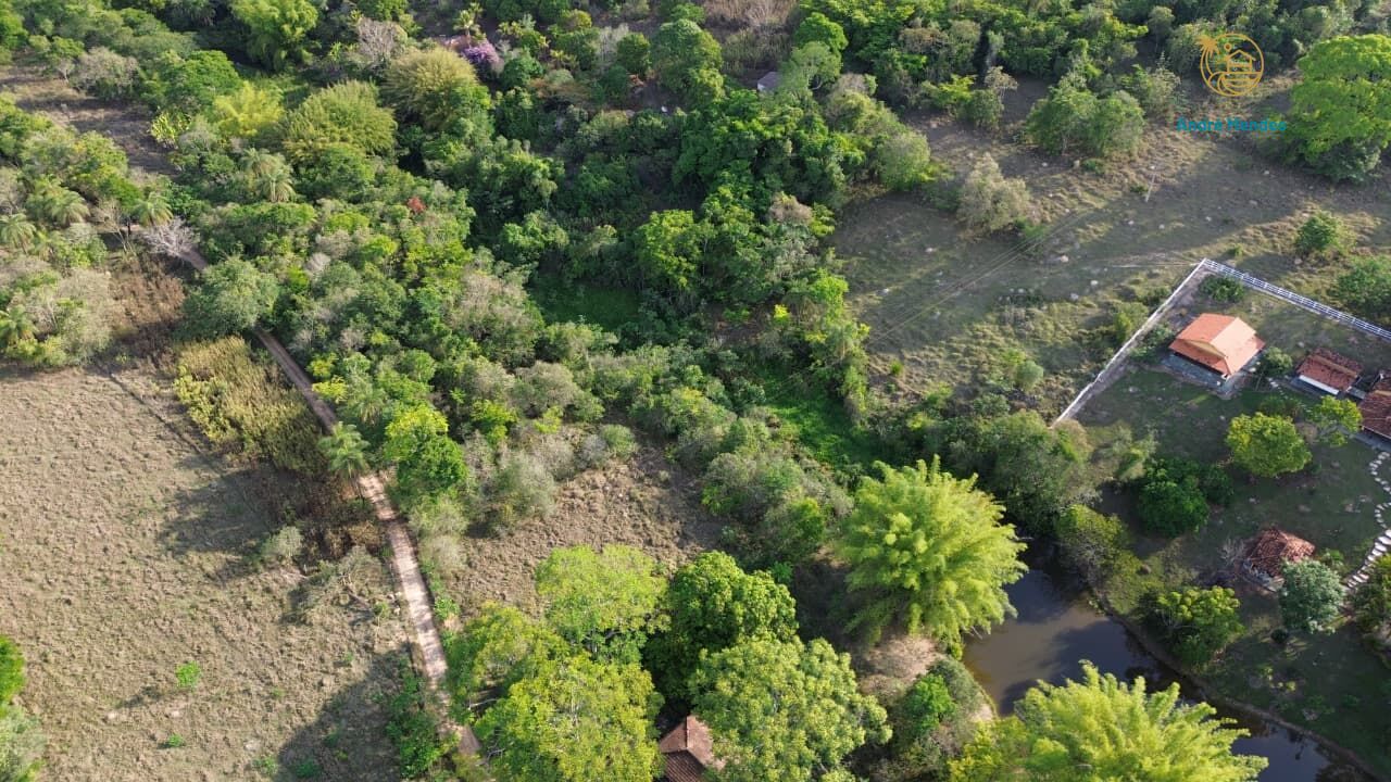 Sítio, 4000 m² - Foto 9