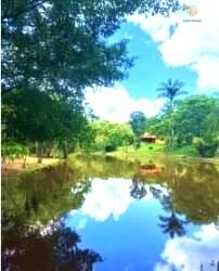 Sítio, 4000 m² - Foto 1