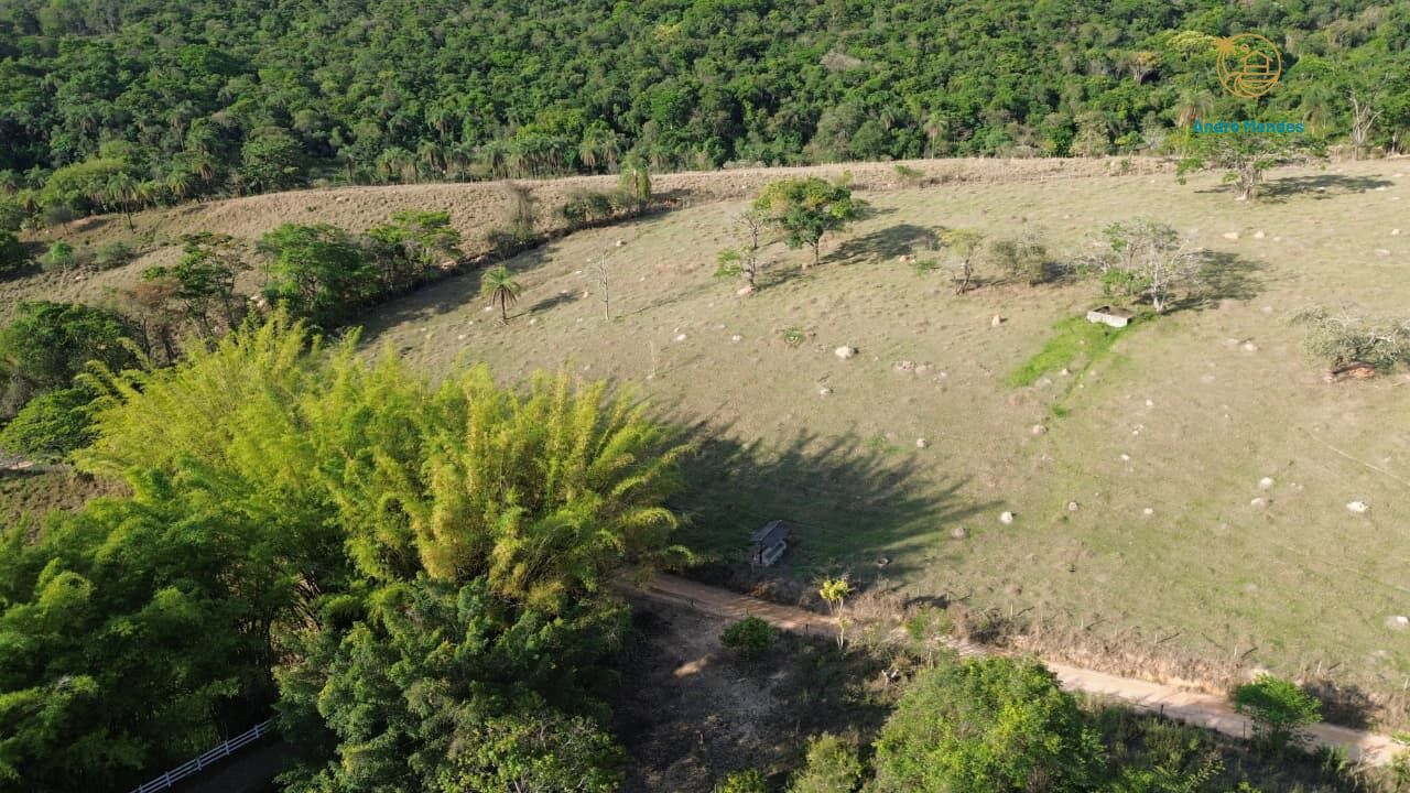 Sítio, 4000 m² - Foto 12