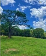 Sítio, 4000 m² - Foto 14