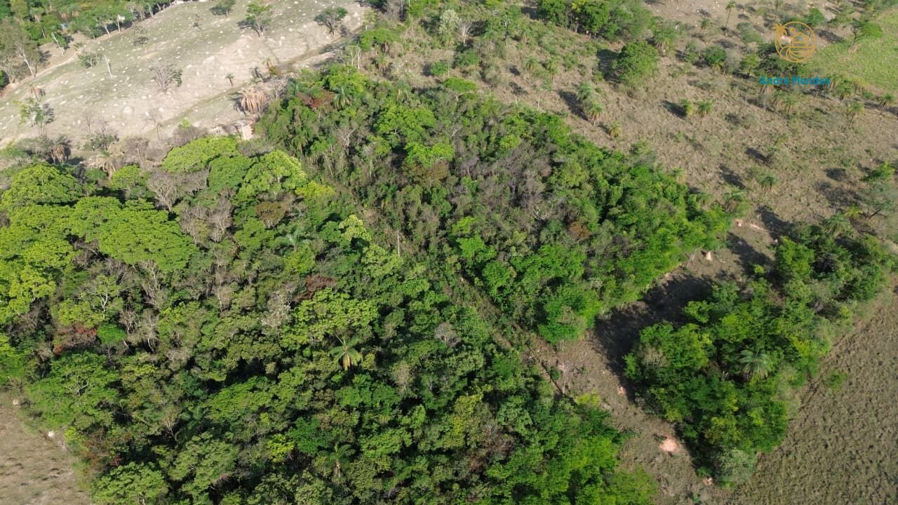 Sítio, 4000 m² - Foto 6