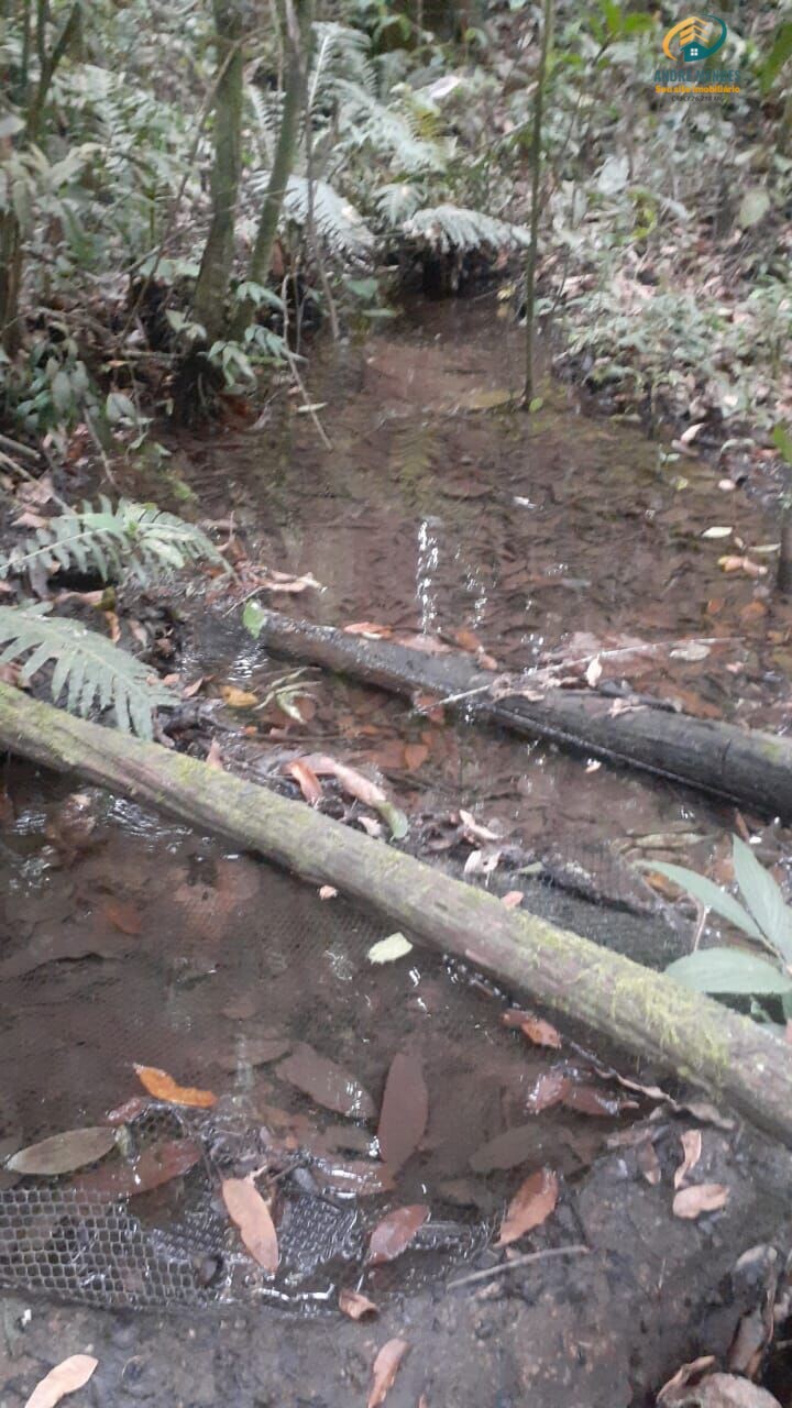 Fazenda à venda, 340000m² - Foto 21