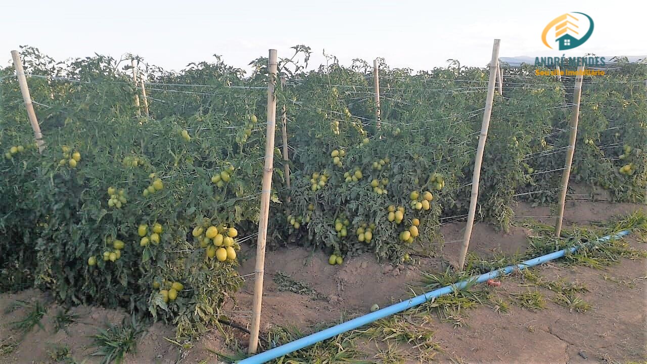 Fazenda à venda, 340000m² - Foto 6