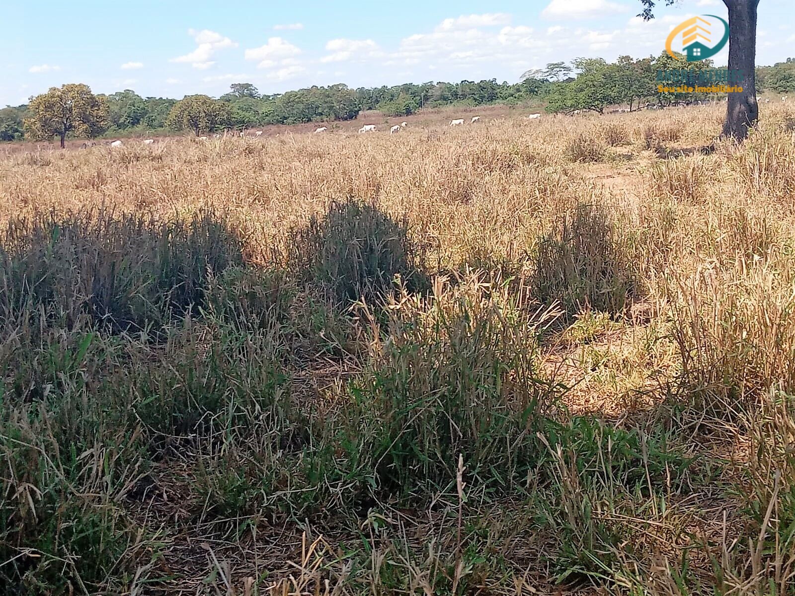 Fazenda à venda, 5140000m² - Foto 39