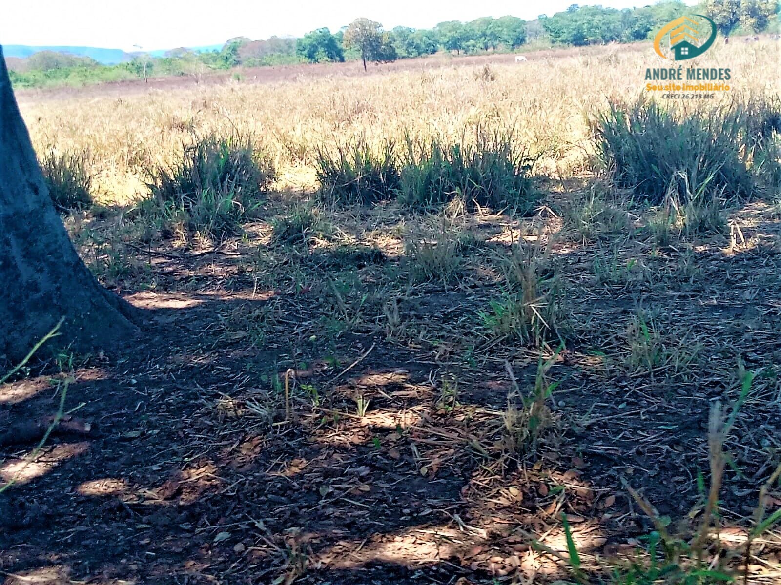 Fazenda à venda, 5140000m² - Foto 26