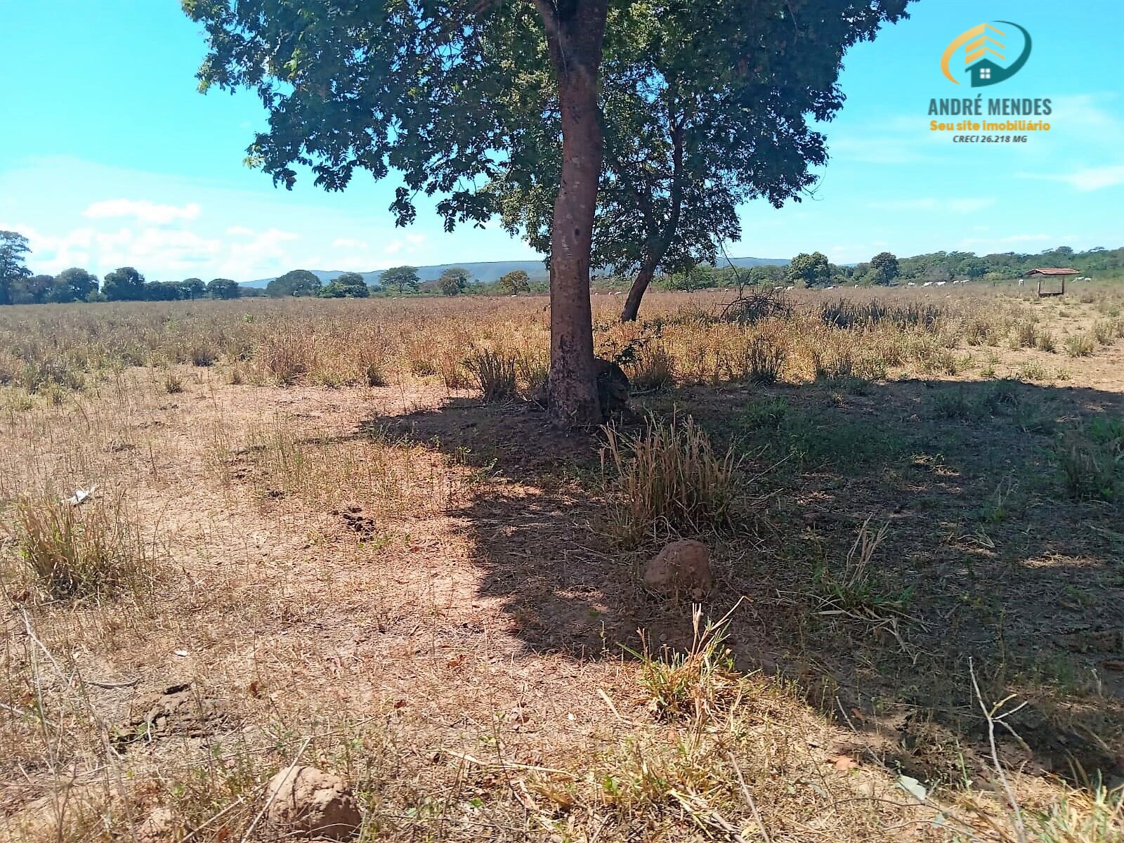 Fazenda à venda, 5140000m² - Foto 29