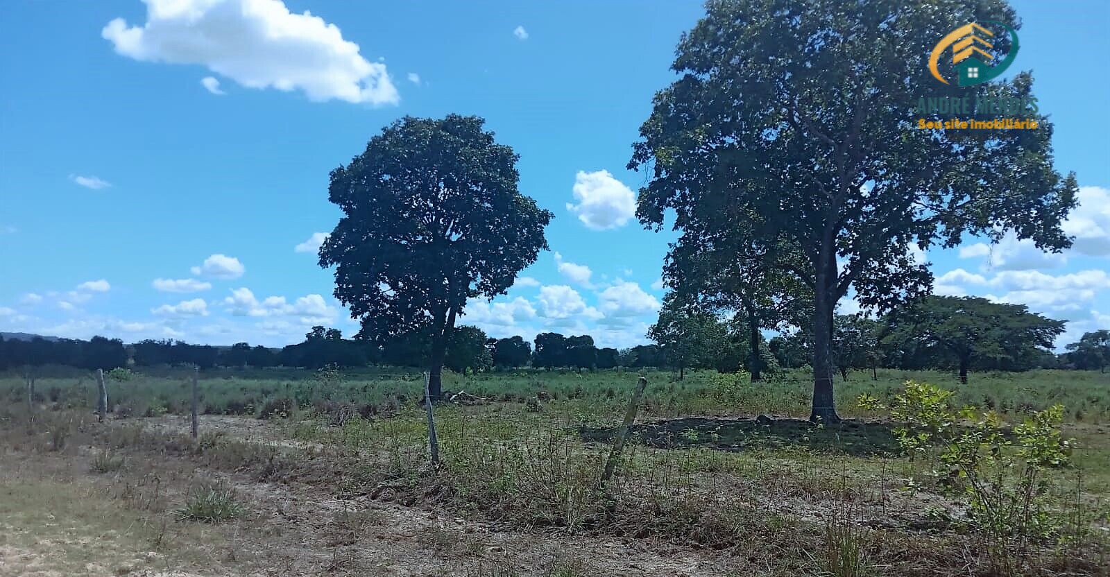 Fazenda à venda, 5140000m² - Foto 4