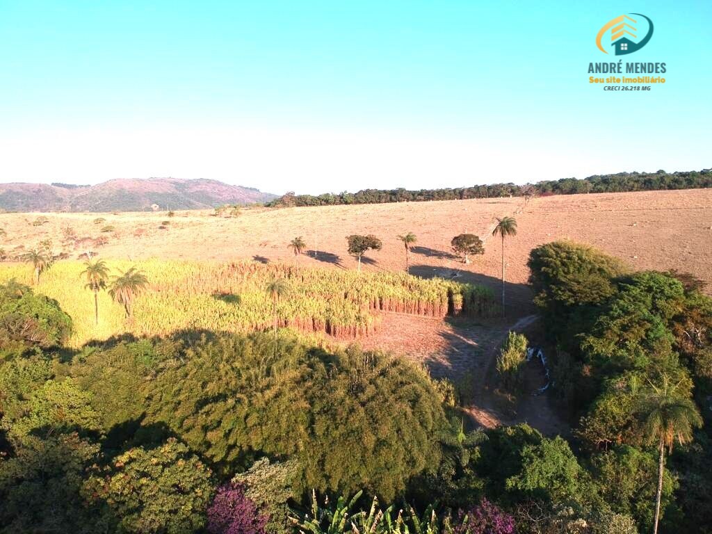 Fazenda à venda com 3 quartos, 1470000m² - Foto 7