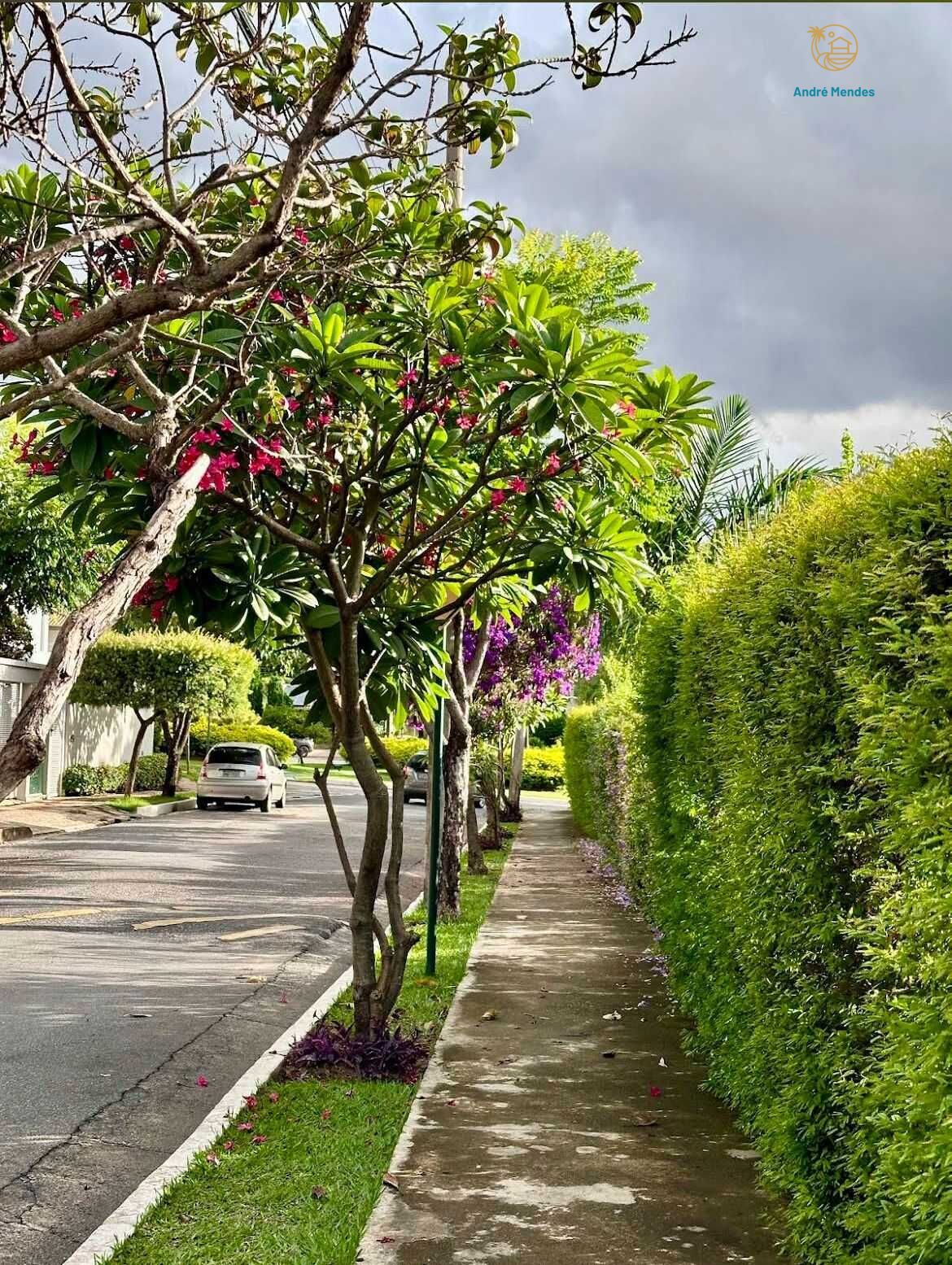 Casa, 3 quartos, 270 m² - Foto 3