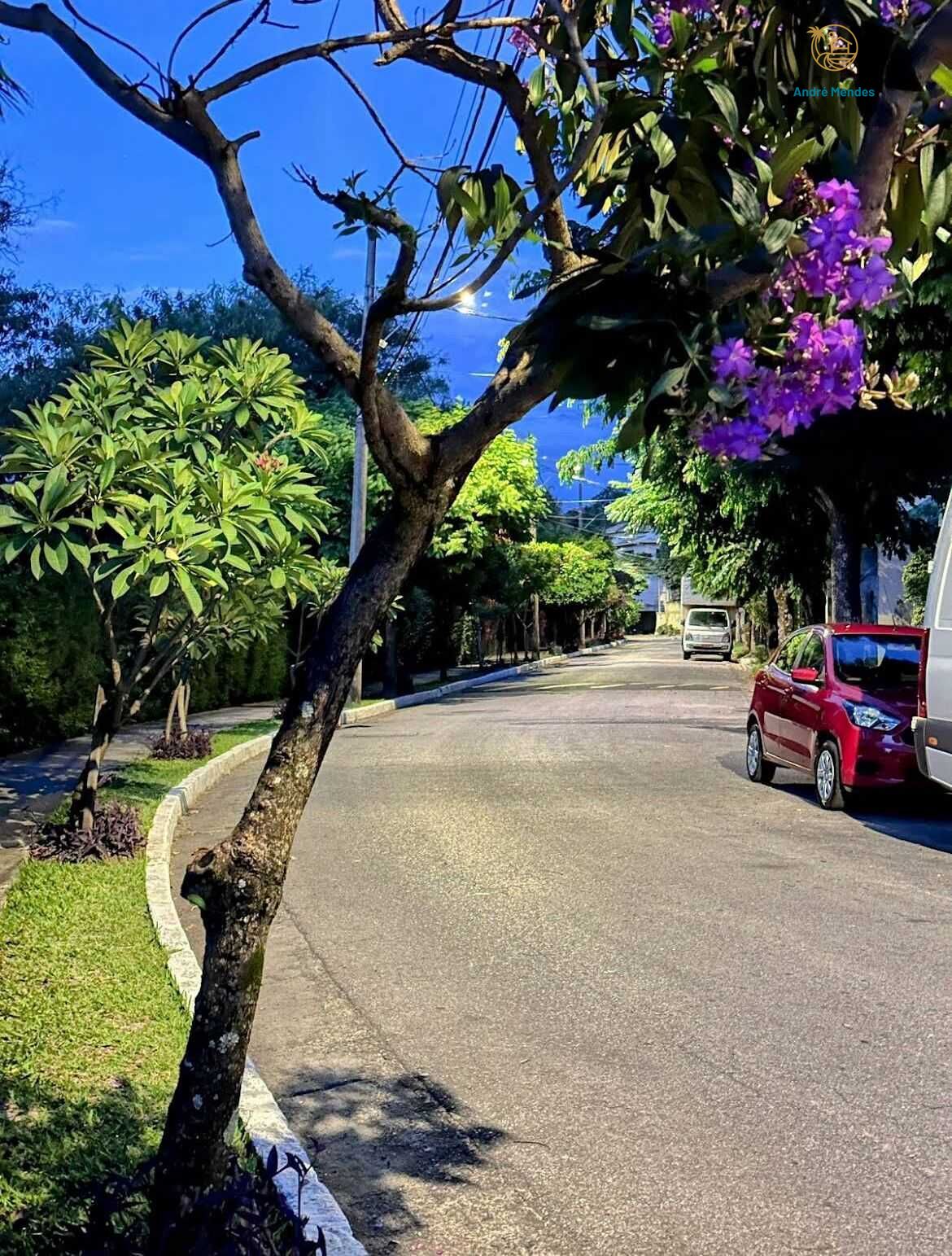 Casa, 3 quartos, 270 m² - Foto 11