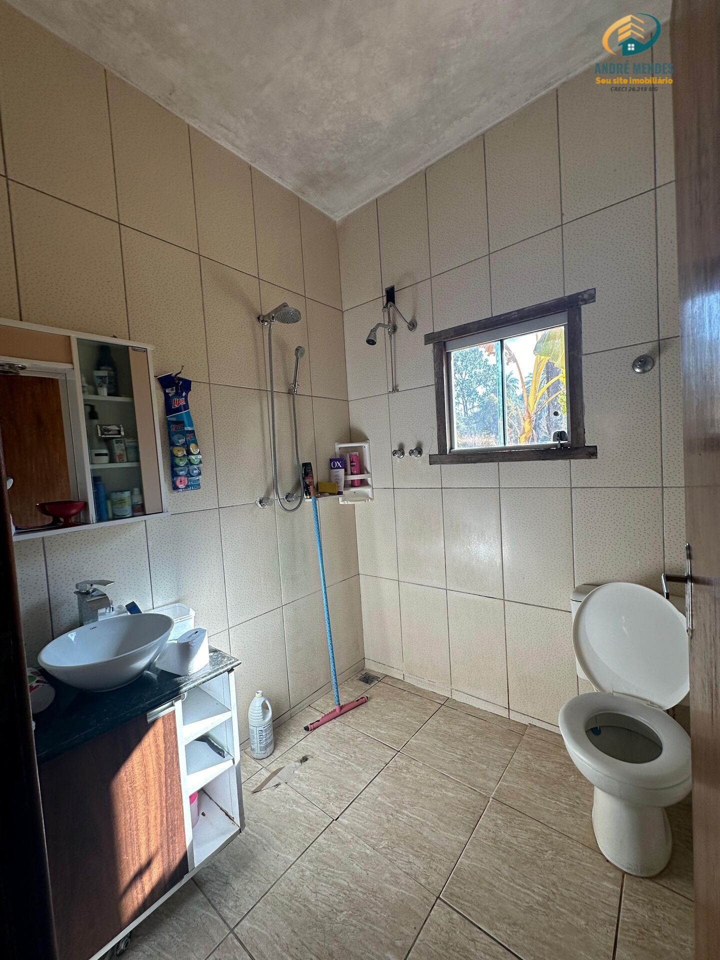 Fazenda à venda com 3 quartos, 180m² - Foto 6