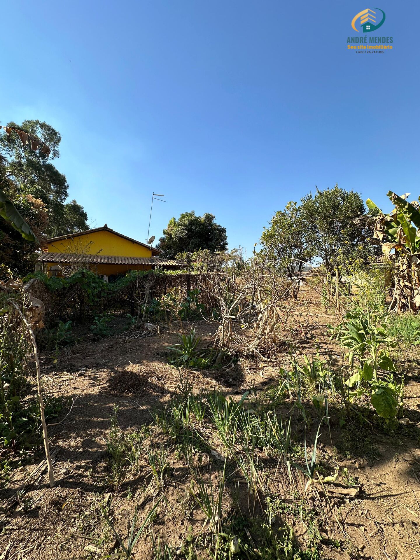 Fazenda à venda com 3 quartos, 180m² - Foto 10