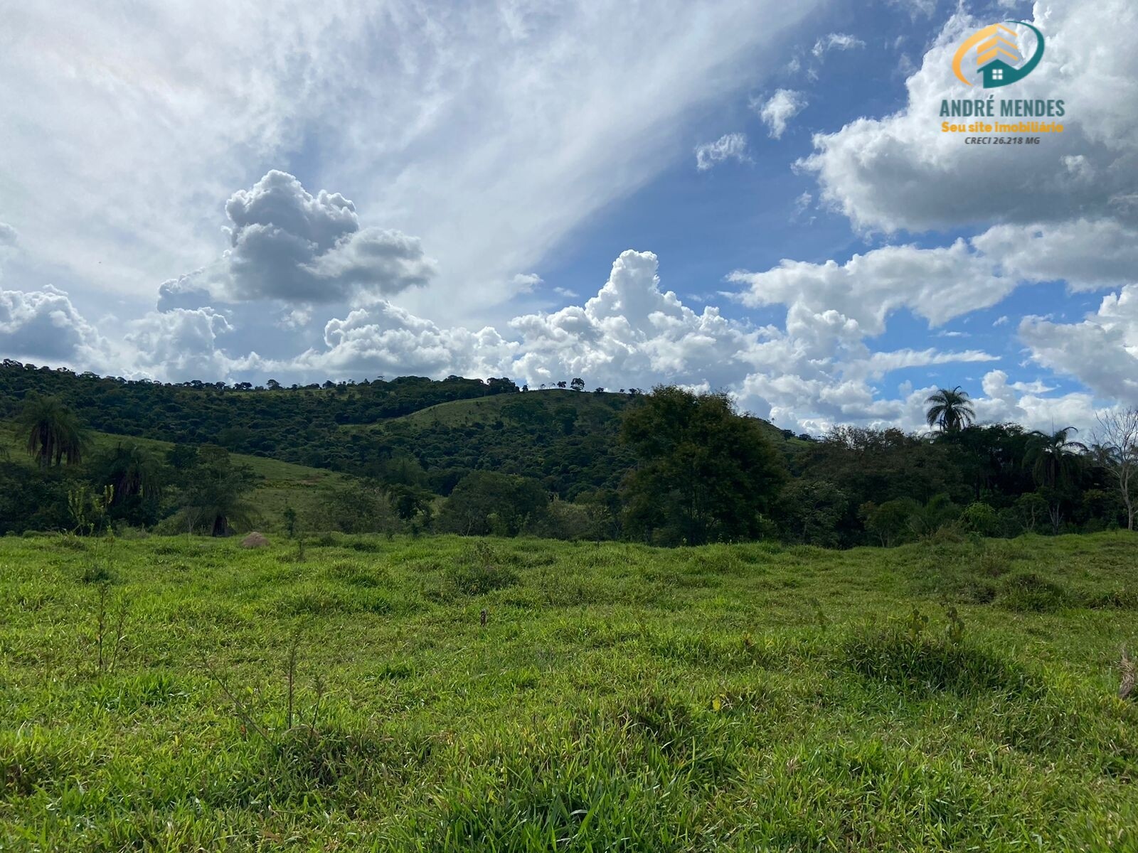 Terreno à venda, 1500m² - Foto 6