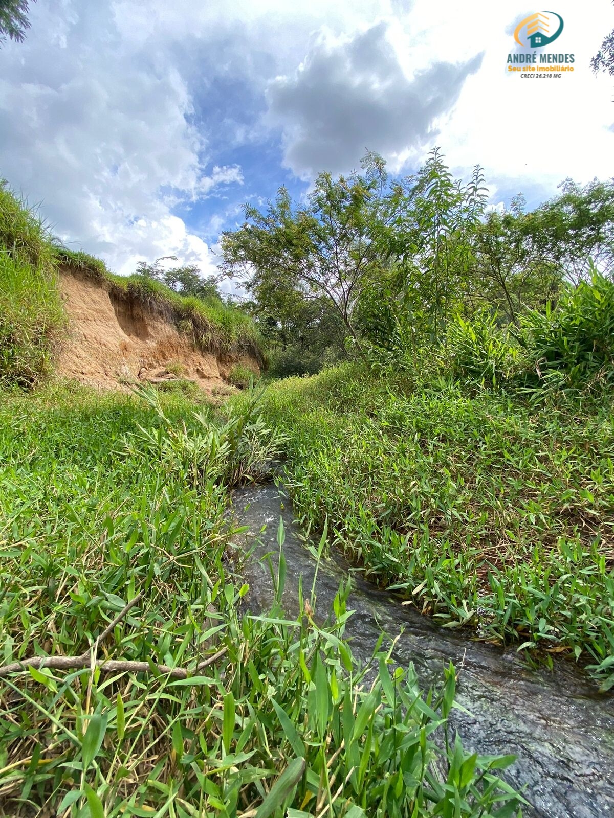 Terreno à venda, 1500m² - Foto 2