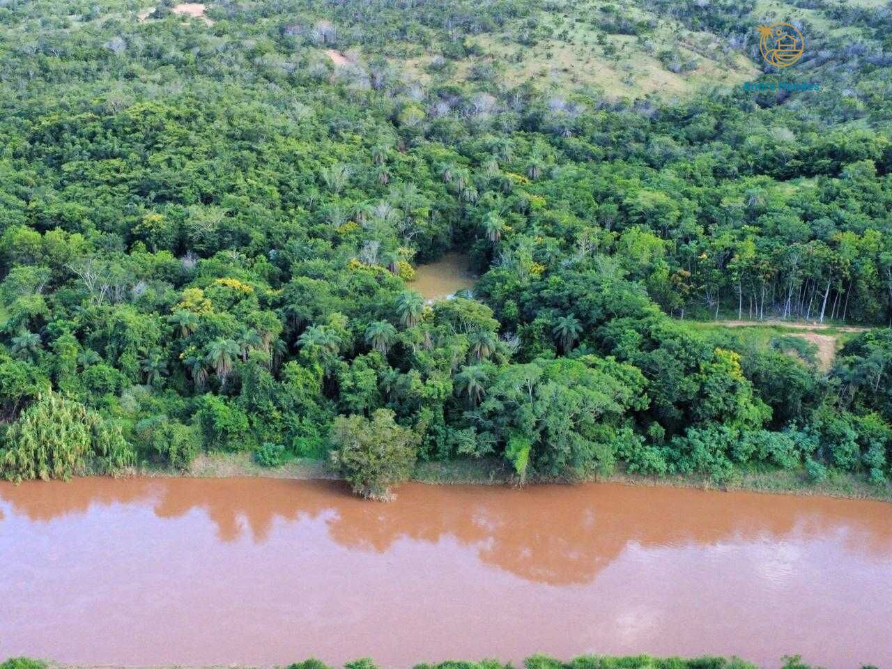 Fazenda, 37 hectares - Foto 24