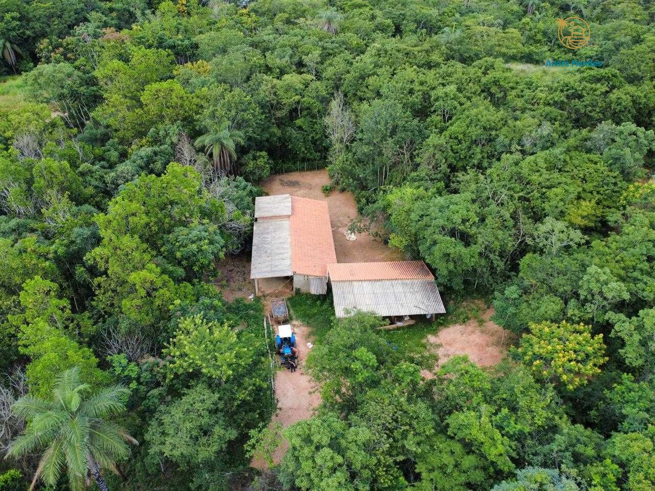 Fazenda, 37 hectares - Foto 10