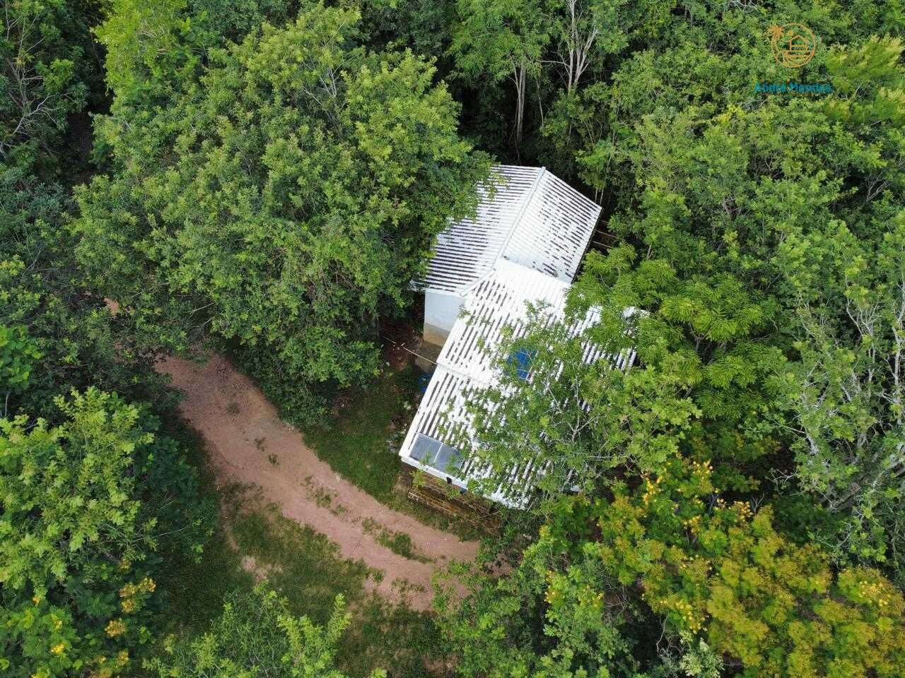 Fazenda, 37 hectares - Foto 4