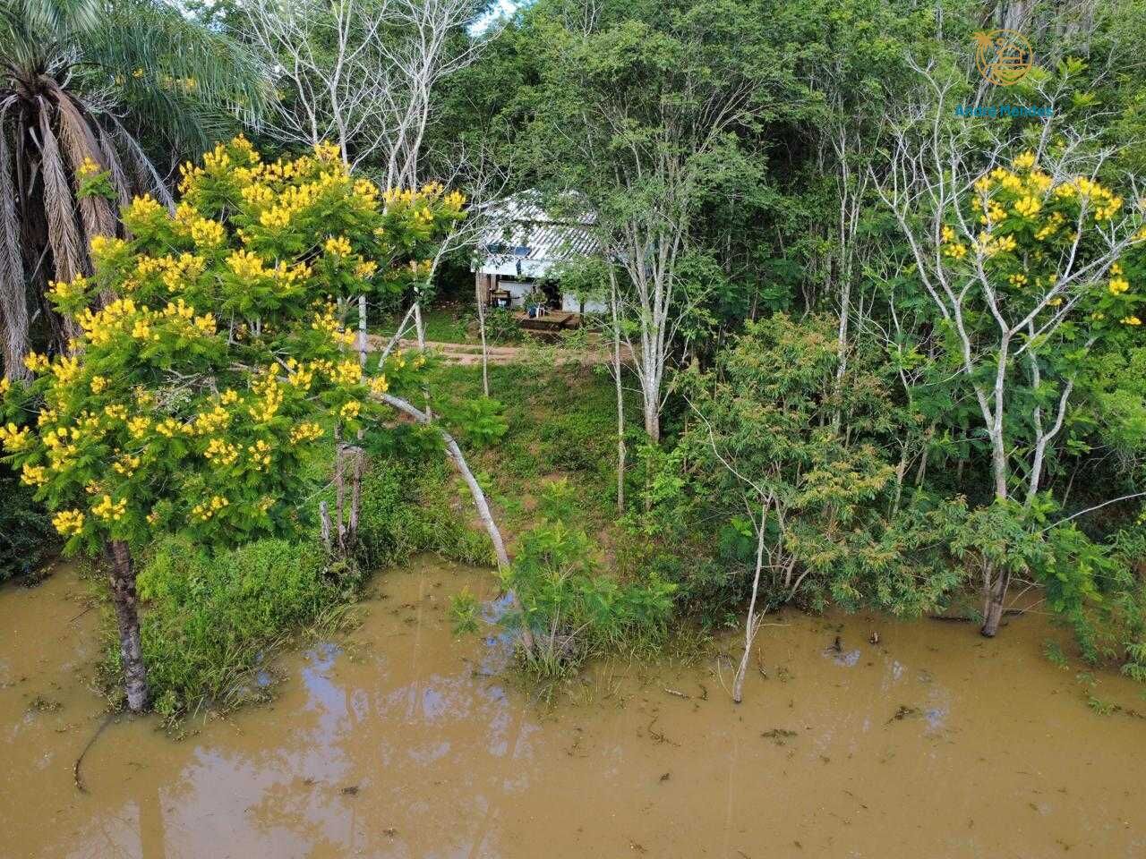 Fazenda, 37 hectares - Foto 12