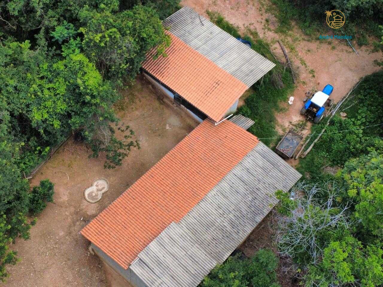 Fazenda, 37 hectares - Foto 7
