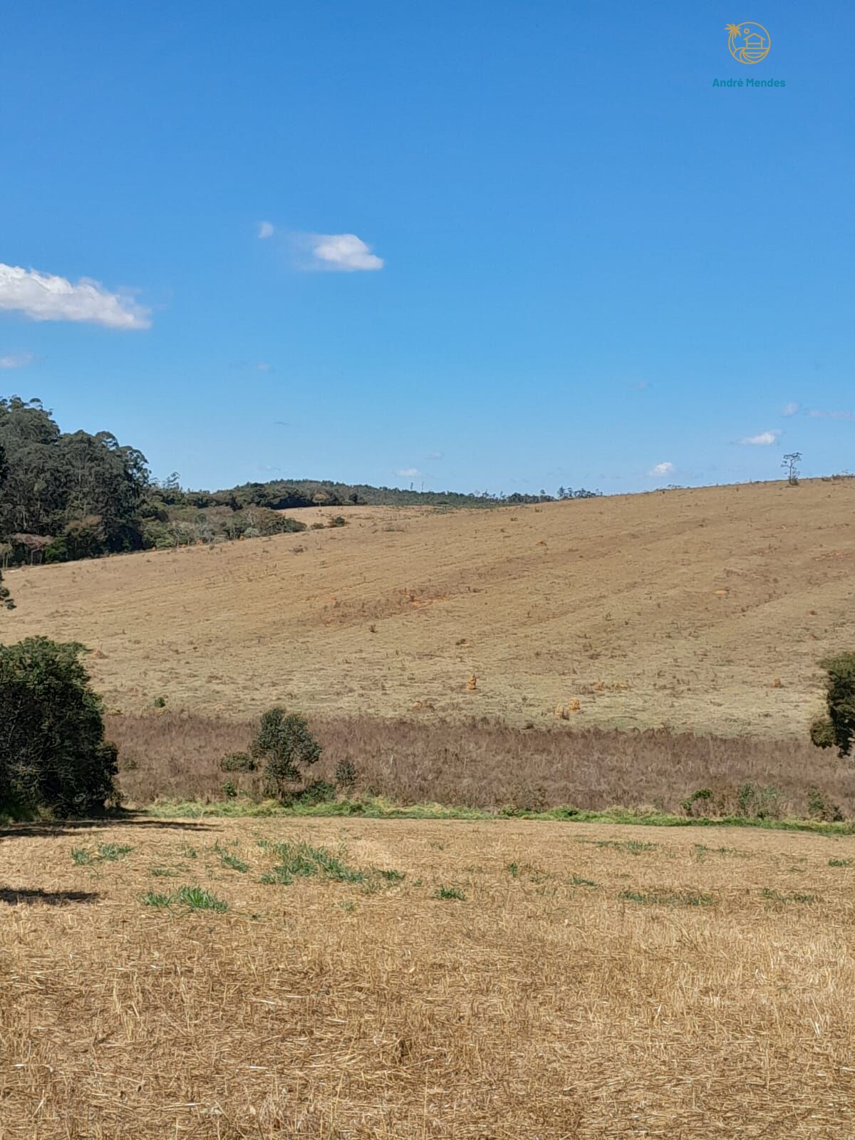 Fazenda, 97 hectares - Foto 17