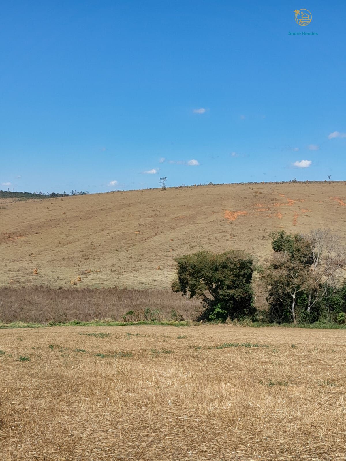 Fazenda, 97 hectares - Foto 8