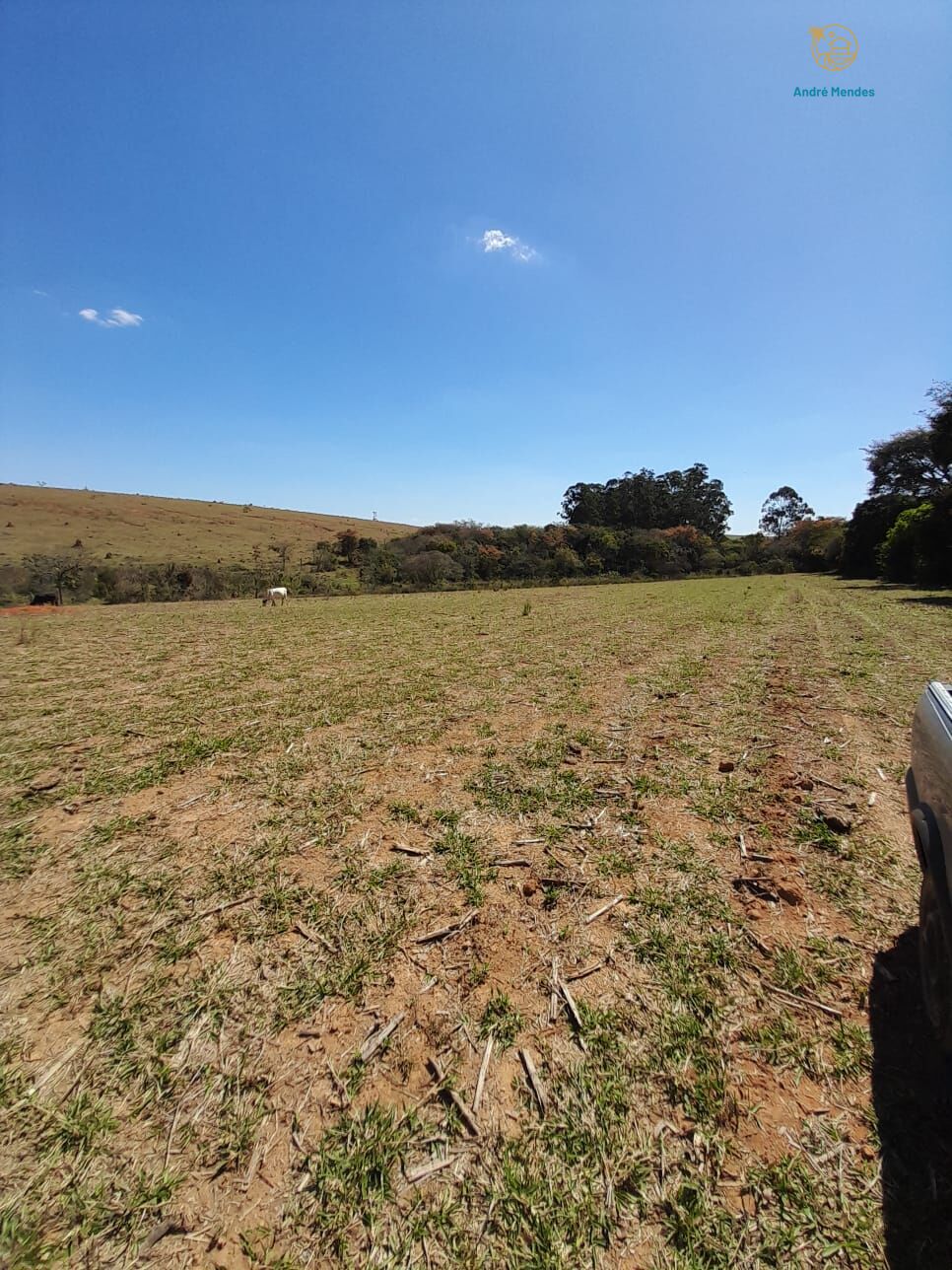 Fazenda, 97 hectares - Foto 13