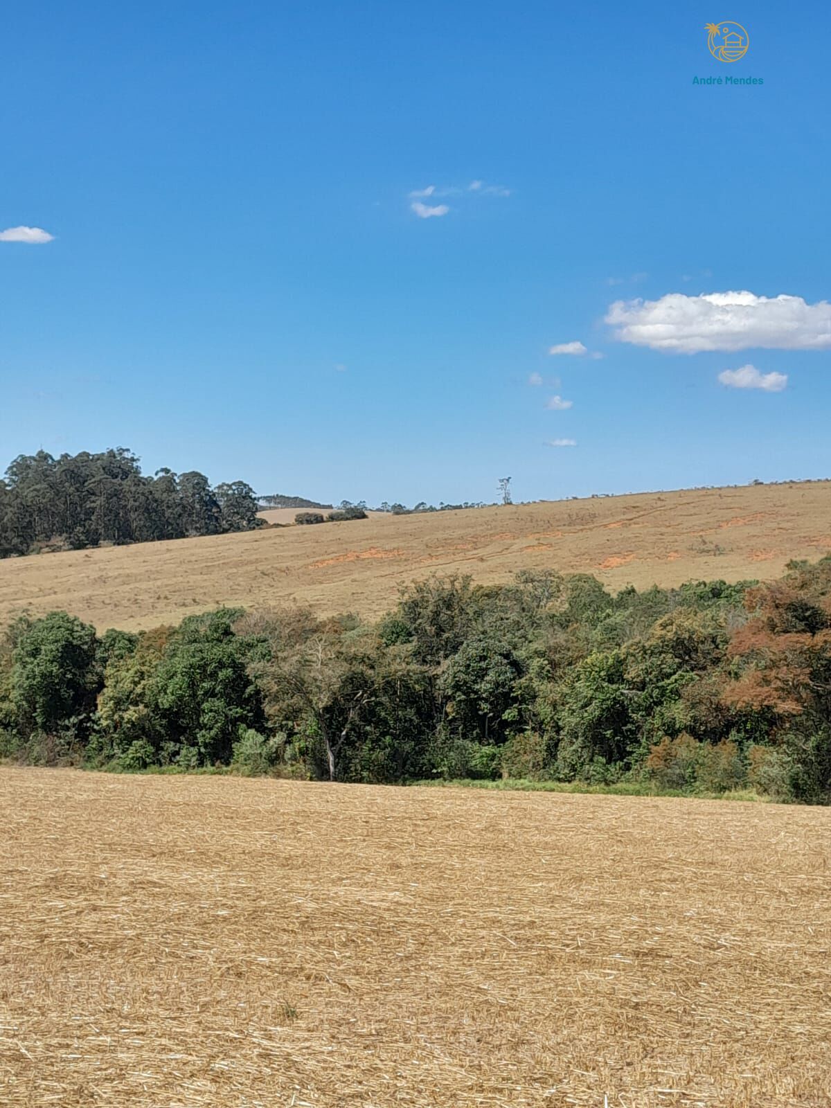 Fazenda, 97 hectares - Foto 21