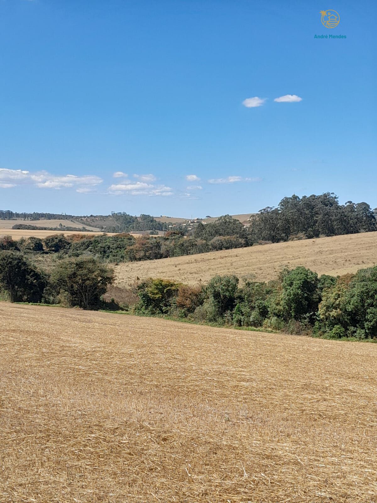 Fazenda, 97 hectares - Foto 23