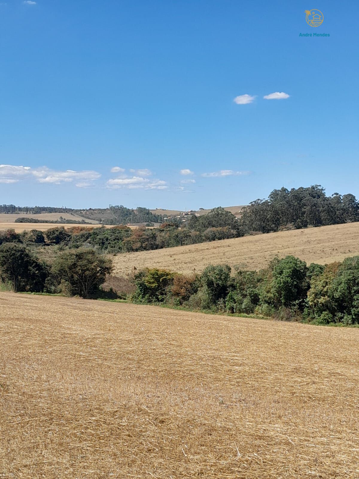 Fazenda, 97 hectares - Foto 12