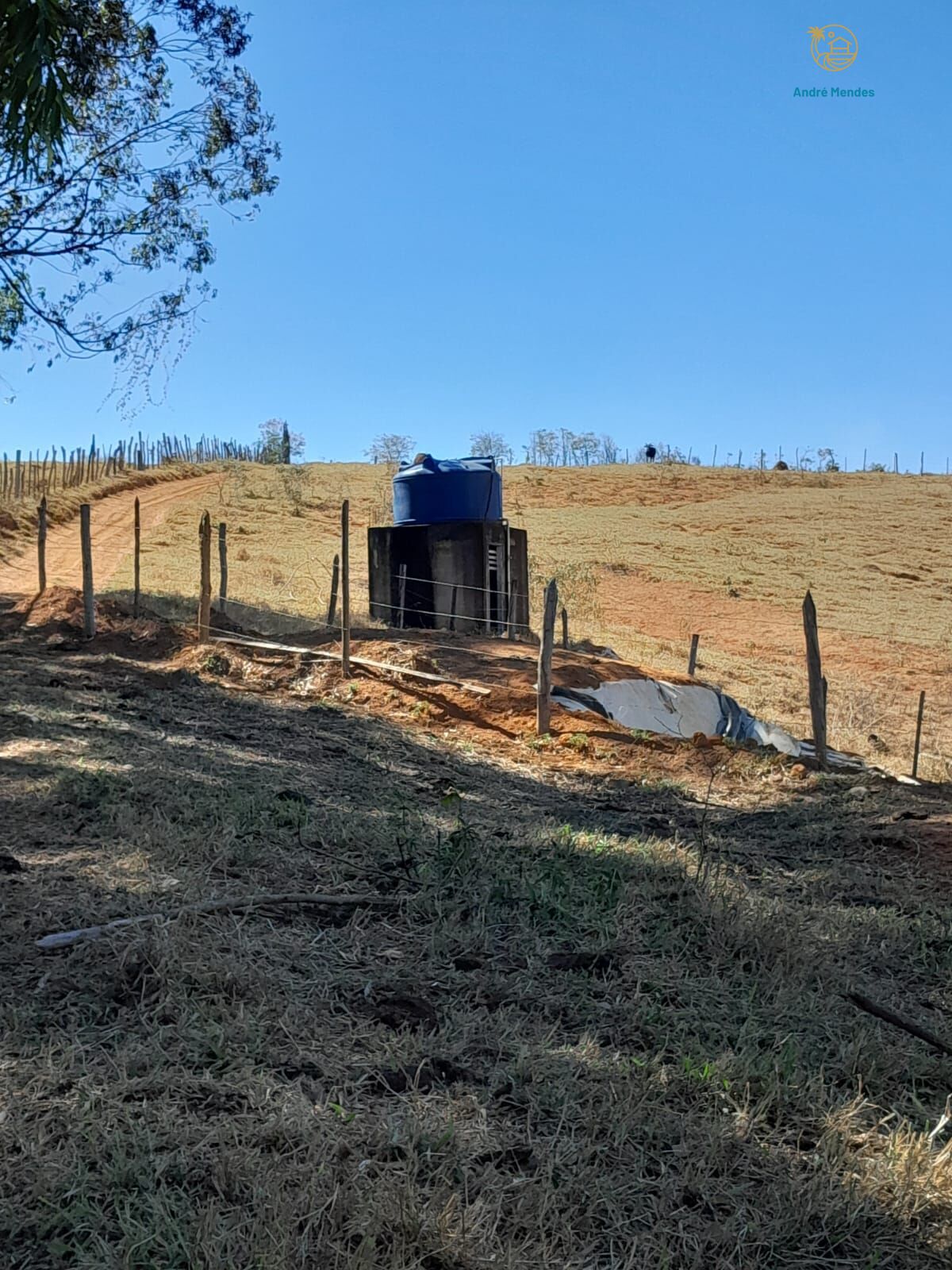 Fazenda, 97 hectares - Foto 11