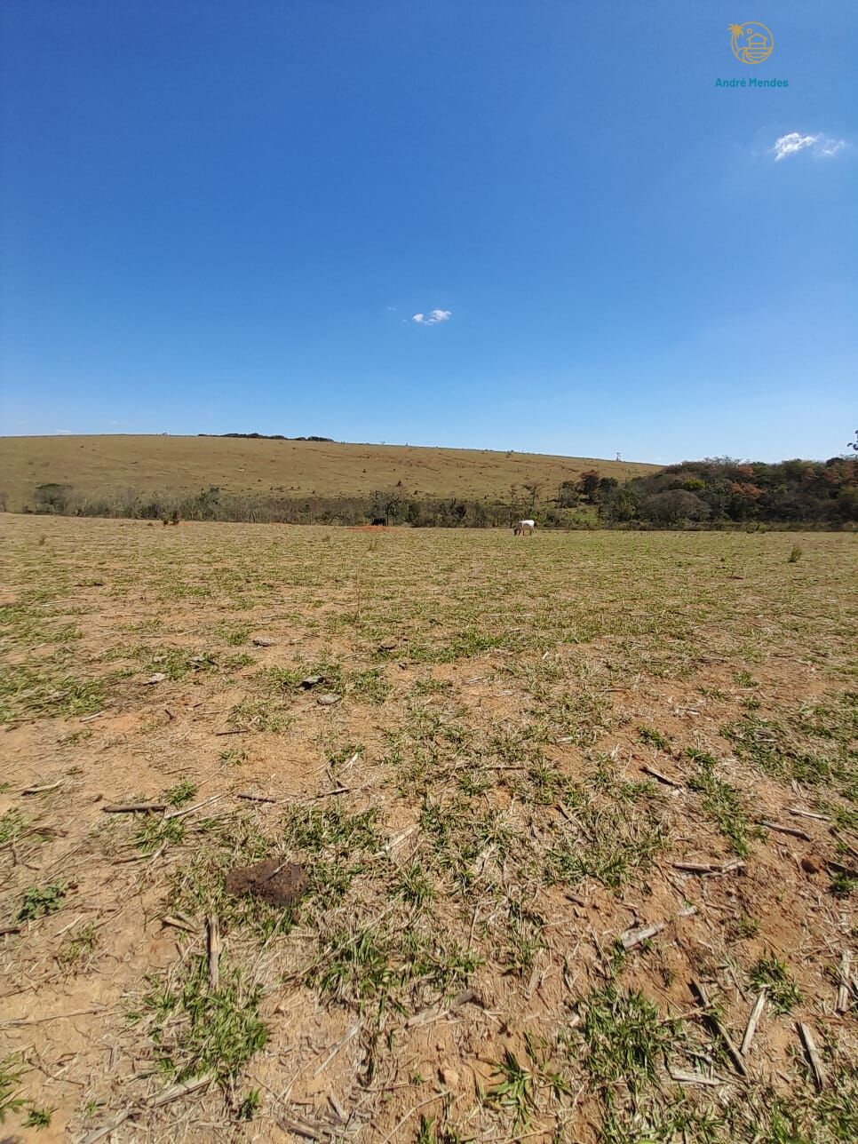 Fazenda, 97 hectares - Foto 15