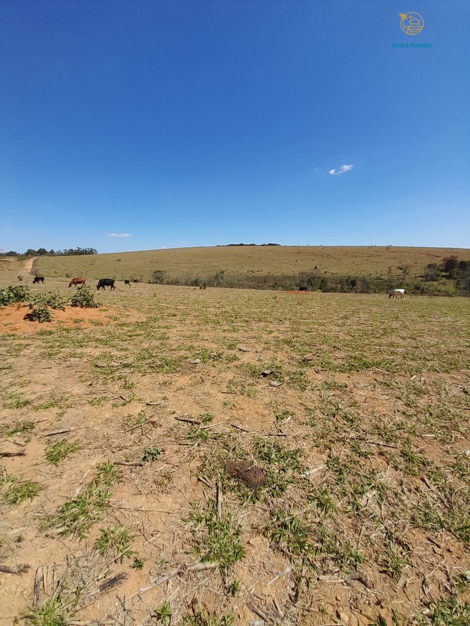 Fazenda, 97 hectares - Foto 14