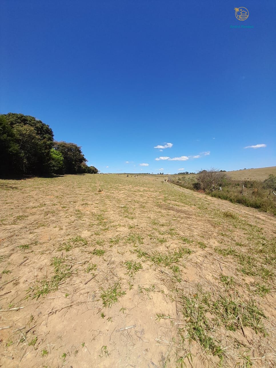 Fazenda, 97 hectares - Foto 20
