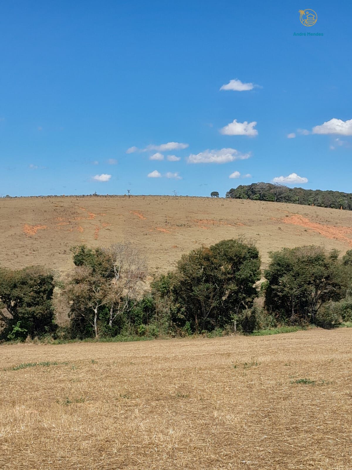 Fazenda, 97 hectares - Foto 10