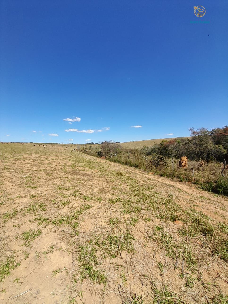 Fazenda-Sítio-Chácara, 97 hectares - Foto 4