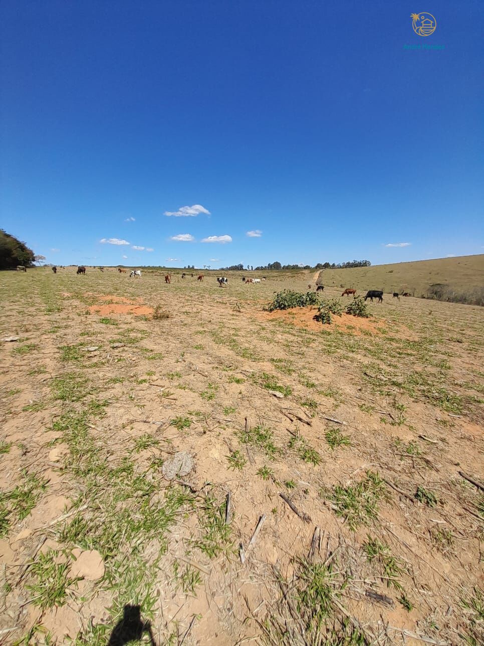 Fazenda, 97 hectares - Foto 18