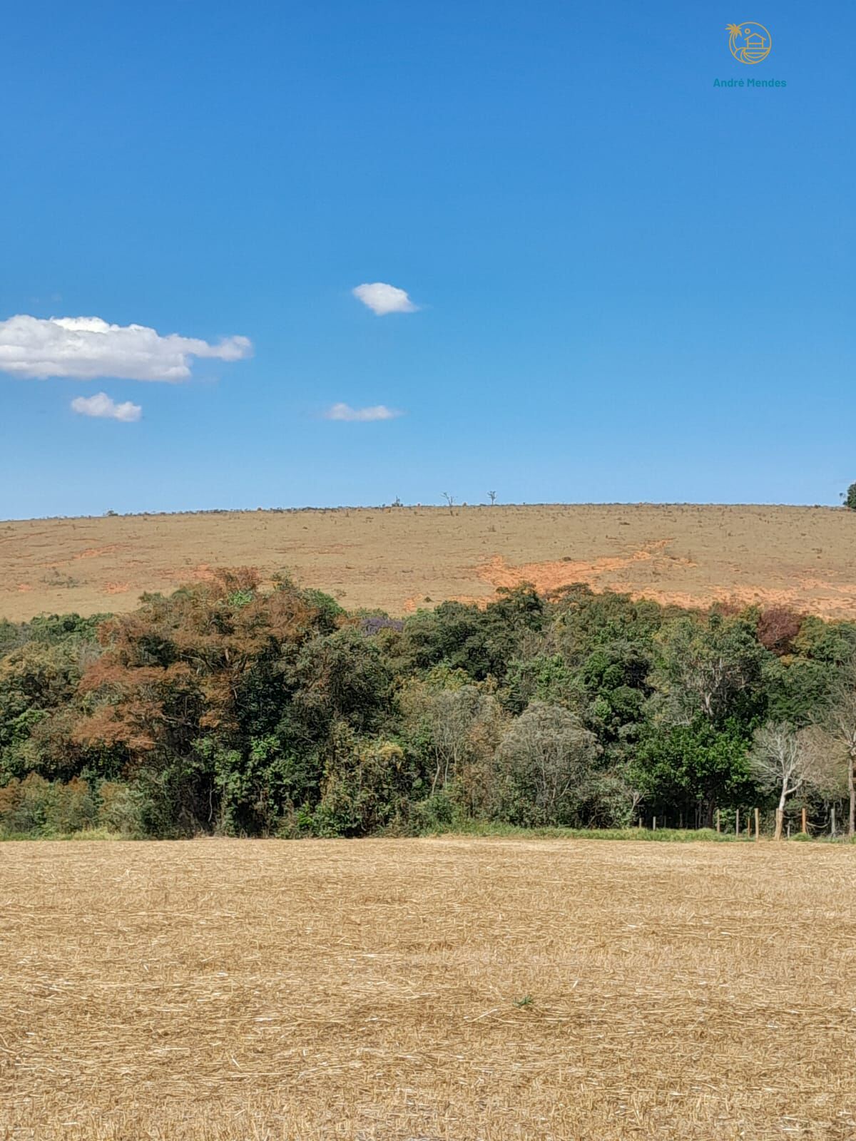 Fazenda, 97 hectares - Foto 19