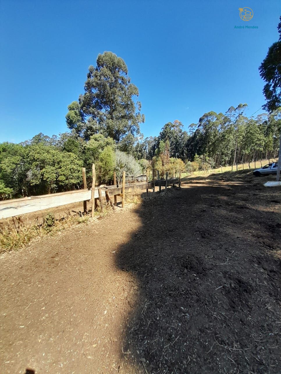 Fazenda, 97 hectares - Foto 6