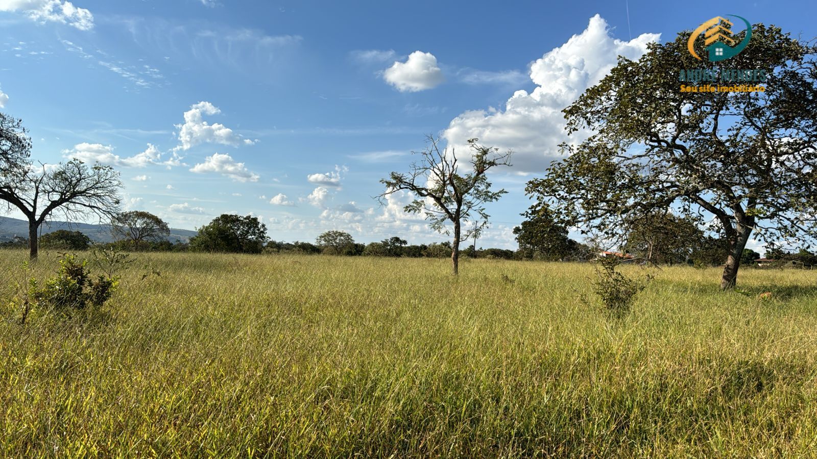 Terreno à venda, 1000m² - Foto 3