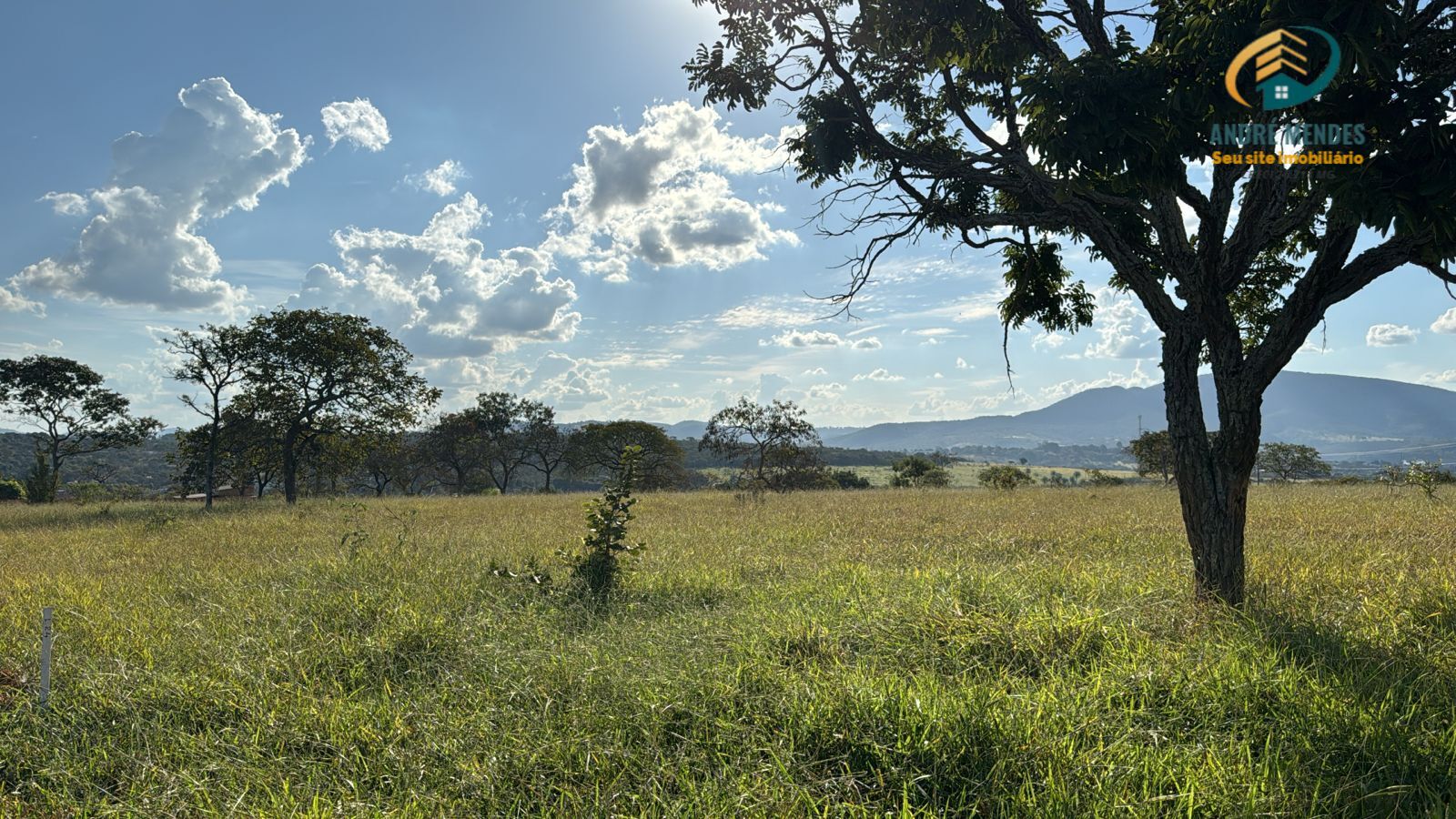 Terreno à venda, 1000m² - Foto 7