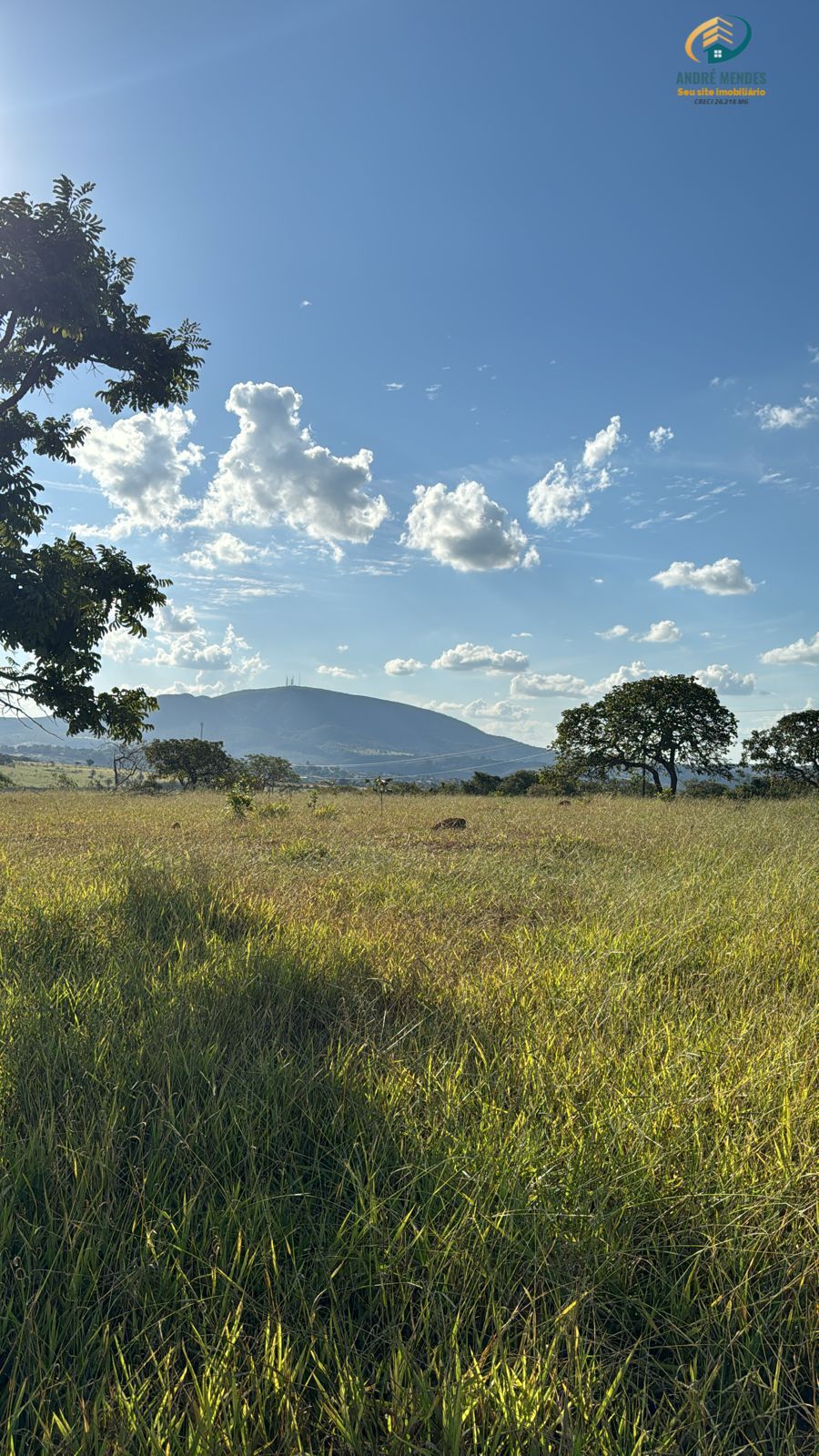 Terreno à venda, 1000m² - Foto 1