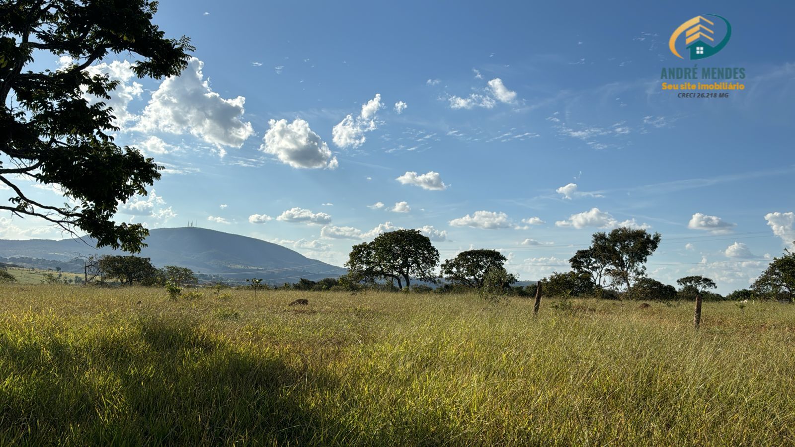 Terreno à venda, 1000m² - Foto 4