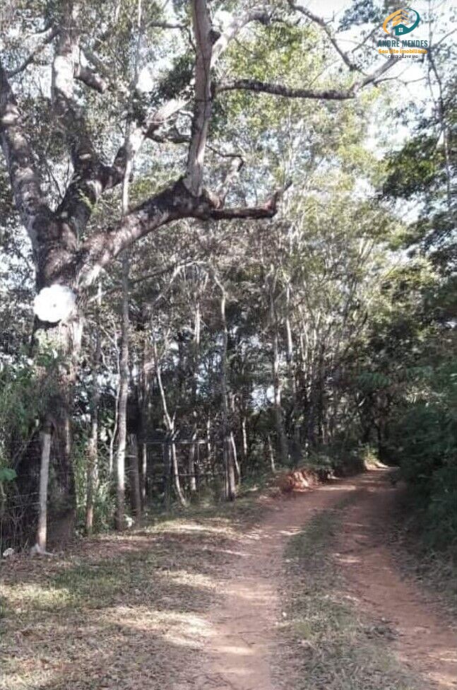 Terreno à venda, 1000m² - Foto 1